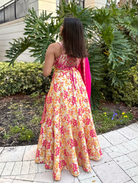 AGNI Yellow and Pink Lehenga Skirt