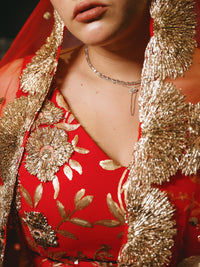 BRIELLA Red and Gold Sequin Lehenga Set