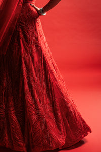 LUCIANA Red Lehenga Set