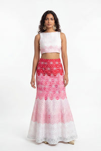 SHANAYA Ombre Embroidery Skirt