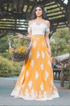 DEE Embroidered Chiffon Lehenga Skirt - Front View - Harleen Kaur - Womenswear