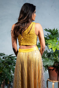 ZARI Jacquard Crop Top with Gold Diamond Specs - Back View - Harleen Kaur