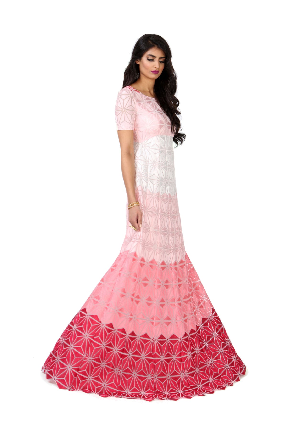 ANISA Ombre Embroidery Dress - Side View - Harleen Kaur Womenswear - Sample Sale